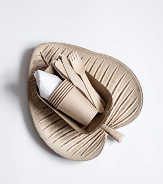 Eco-friendly dishes - Image 3